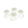 Curlies chrysant wit 4 stuks