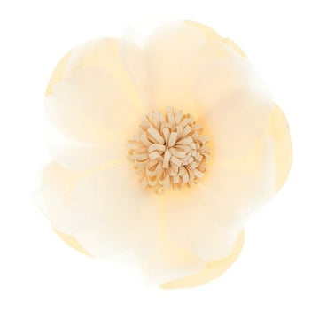 Haarbloem aquarel crème