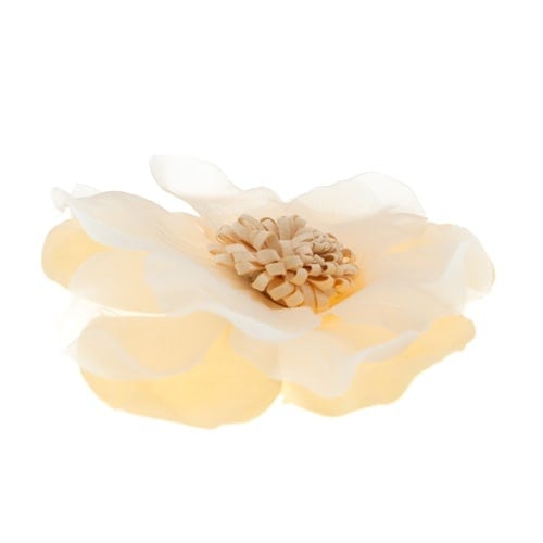 Haarbloem aquarel crème