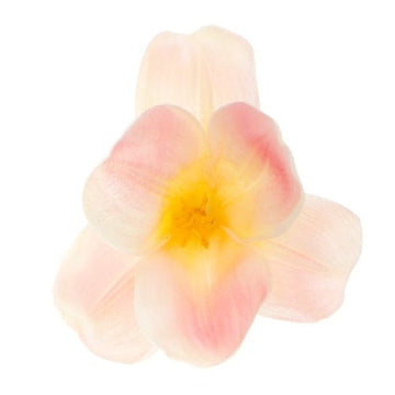 Haarbloem foam roze