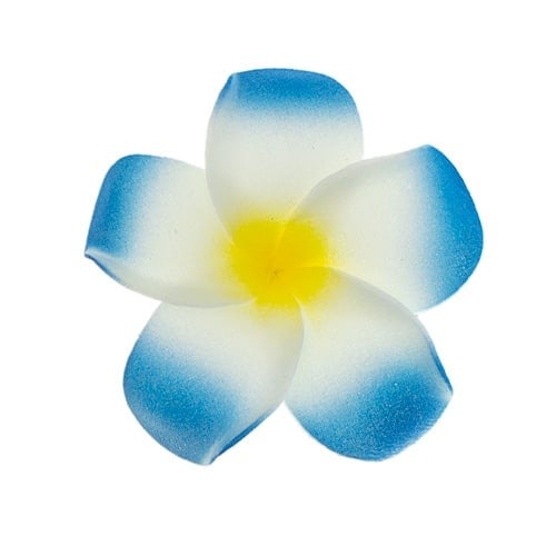 Haarbloem Hawaii blauw