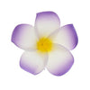 Haarbloem Hawaii paars