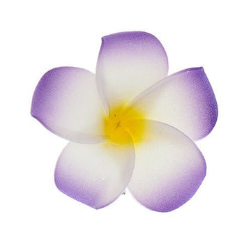 Haarbloem Hawaii paars