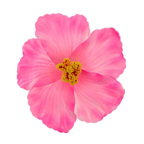 Haarbloem large bright pink