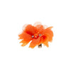 Haarbloem lovely oranje