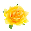 Haarbloem roos L kleur geel