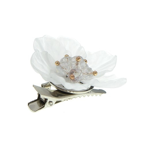 Haarbloem wit bladeren rond
