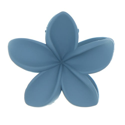 Haarklem sterbloem blauw