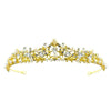 Tiara goudkleurig pracht en praal