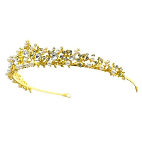 Tiara goudkleurig pracht en praal