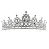 Zilverkleurige tiara met bloemetjes van steentjes van voeren